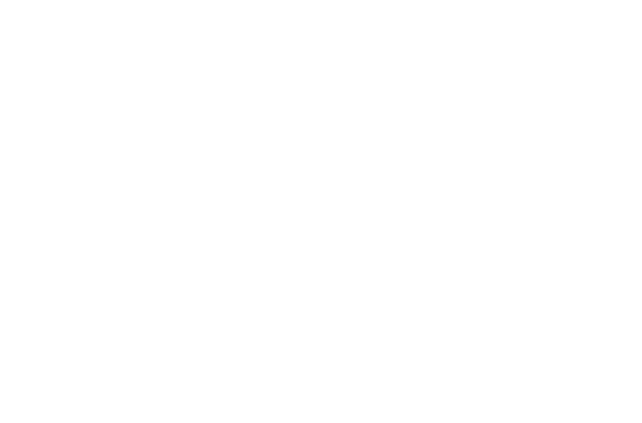 Ear Lobe Repair